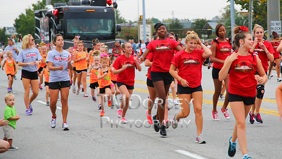 OkraStrut_2012-0721