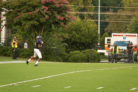 TMD_RVHS_wk1-7623