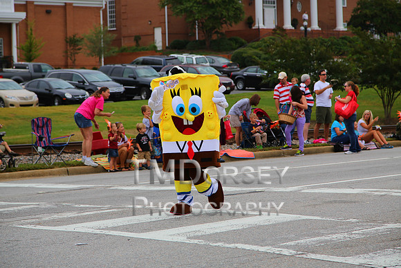 OkraStrut_2012-0700