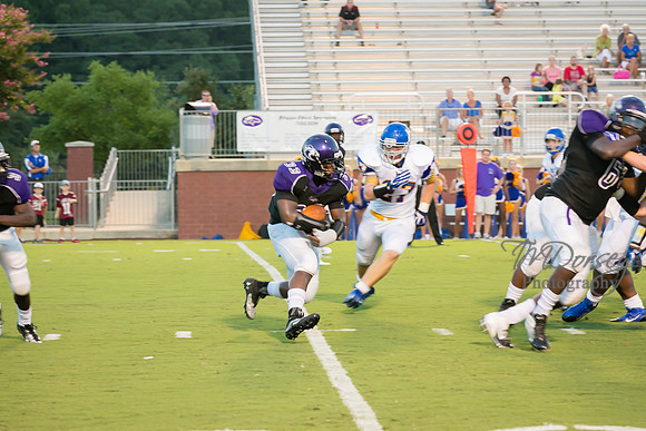 TMD_RVHS_wk1-7679