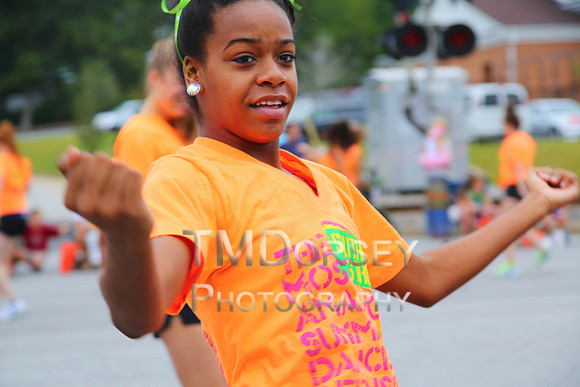OkraStrut_2012-0712