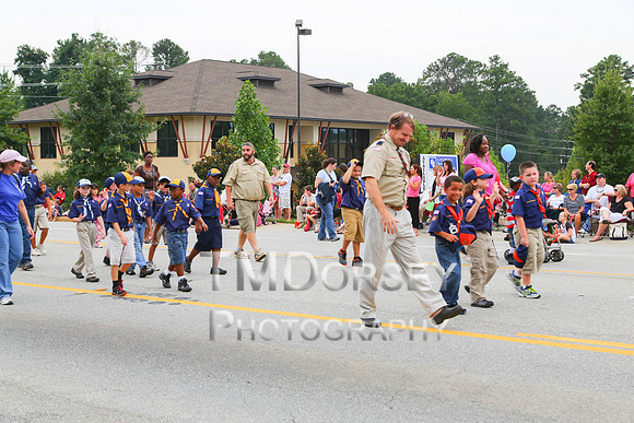 OkraStrut_2012-0751