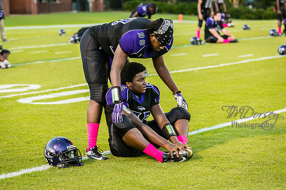 TMD_RVHS_wk6-0158