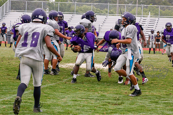 TMD_RVHS_2014-3671