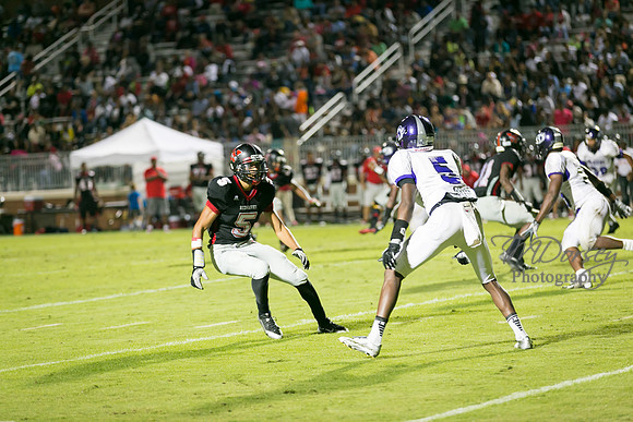 TMD_RVHS_wk4-3143
