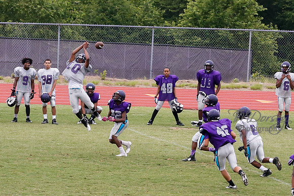 TMD_RVHS_2014-3789