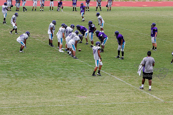 TMD_RVHS_2014-3768