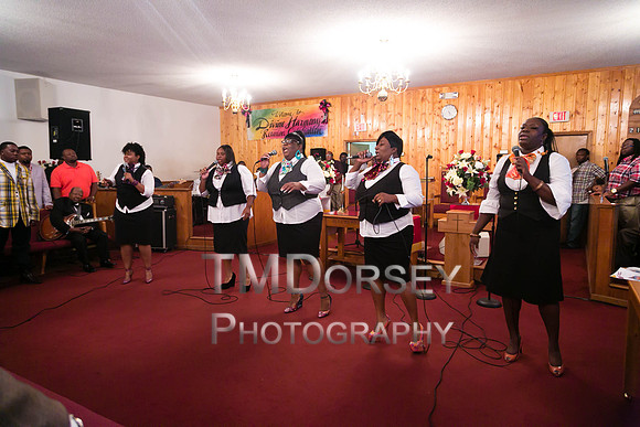 TMD_DH2013-9369
