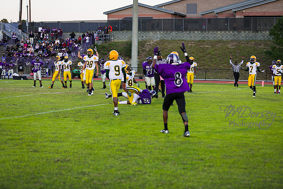TMD_RVHS_wk8-3261