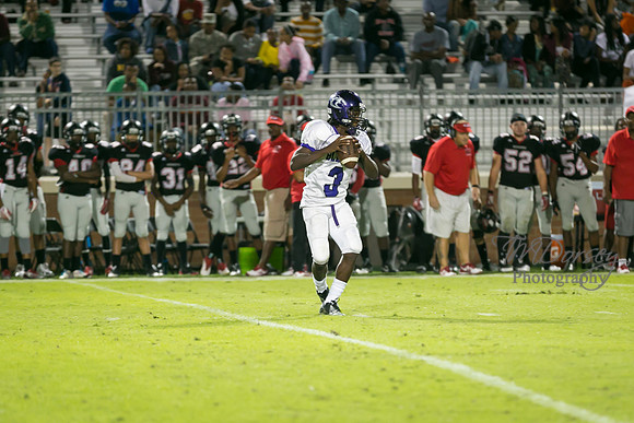 TMD_RVHS_wk4-2928