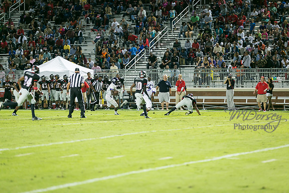 TMD_RVHS_wk4-2976