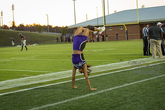 TMD_RVHS_wk4-2713