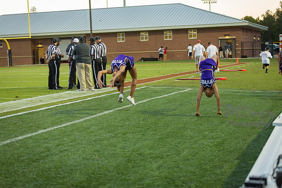 TMD_RVHS_wk4-2726