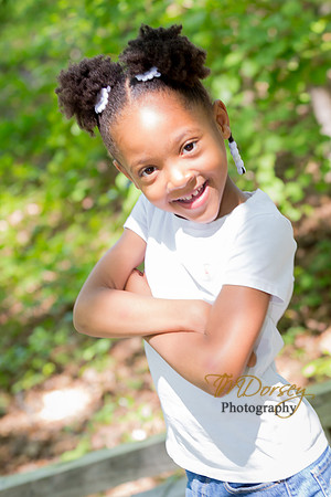 TMD_2016-6556