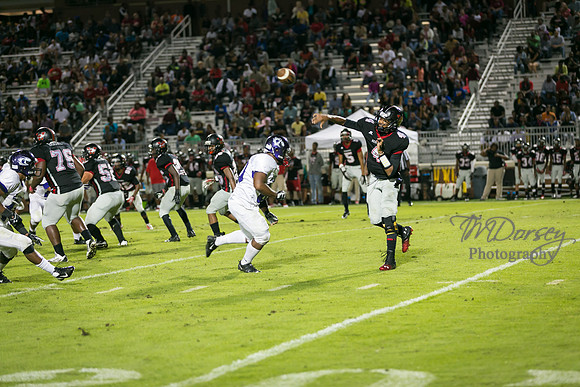 TMD_RVHS_wk4-2961