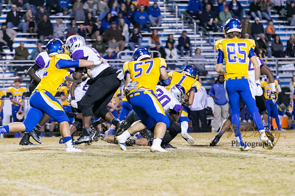 RVHS_2016-3176