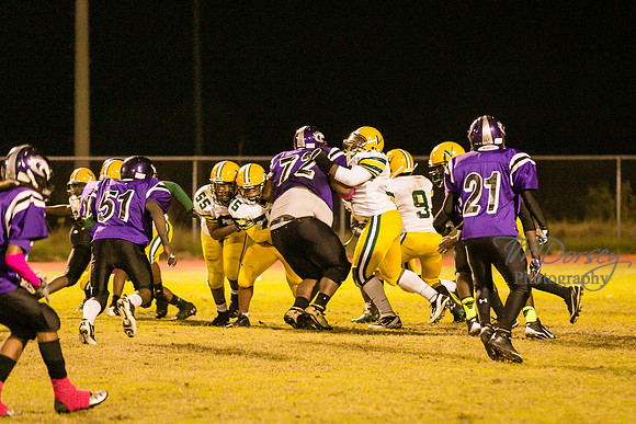 TMD_RVHS_wk8-3851