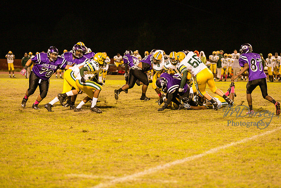 TMD_RVHS_wk8-3832