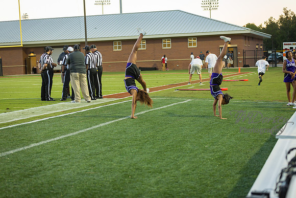 TMD_RVHS_wk4-2724