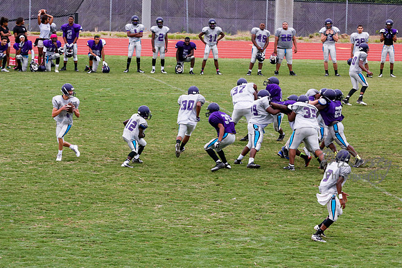 TMD_RVHS_2014-3780