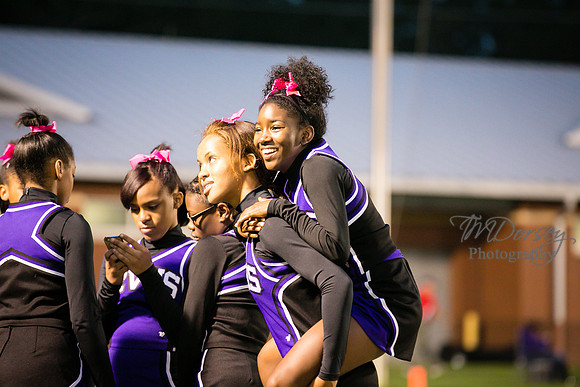 TMD_RVHS_wk7-2086
