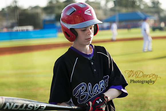 TMD_RVHS-2014-0085