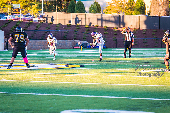 TMD_RVHS_wk6-9059