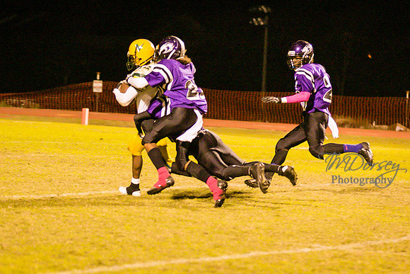 TMD_RVHS_wk8-3929