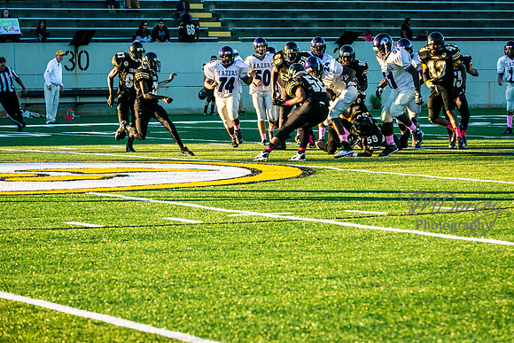 TMD_RVHS_wk6-9003