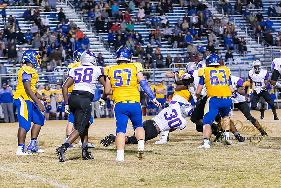 RVHS_2016-3184
