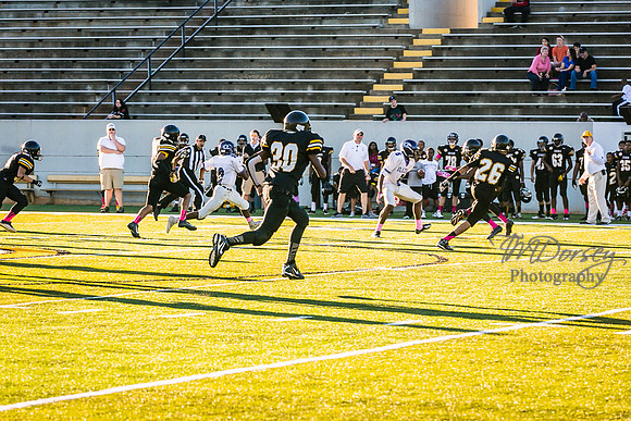 TMD_RVHS_wk6-8899