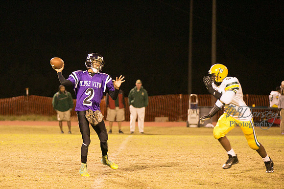TMD_RVHS_wk8-3844