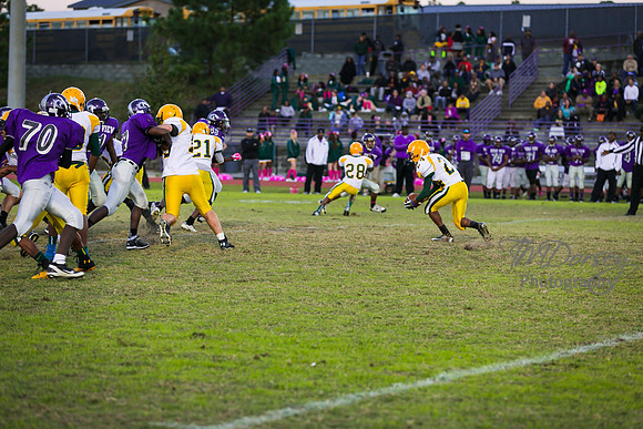 TMD_RVHS_wk8-3281