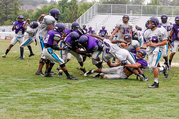TMD_RVHS_2014-3662