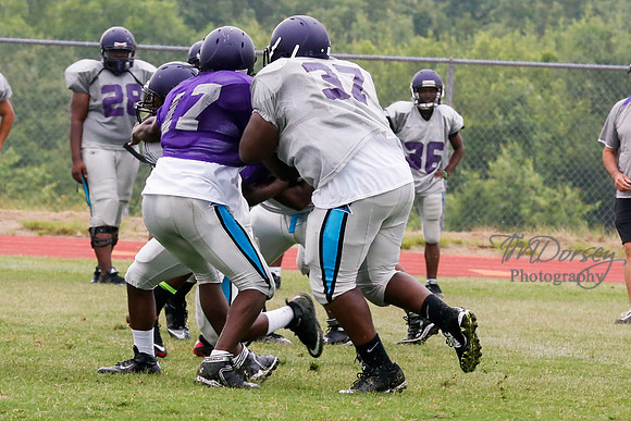TMD_RVHS_2014-3619