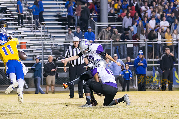 RVHS_2016-3015