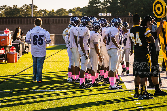 TMD_RVHS_wk6-8919
