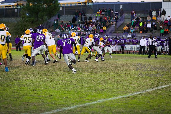 TMD_RVHS_wk8-3282