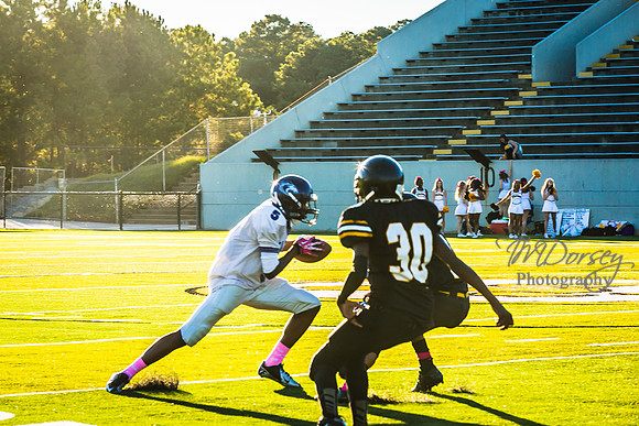 TMD_RVHS_wk6-8902