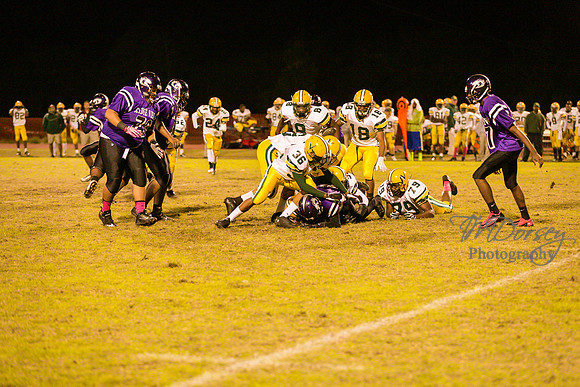 TMD_RVHS_wk8-3833