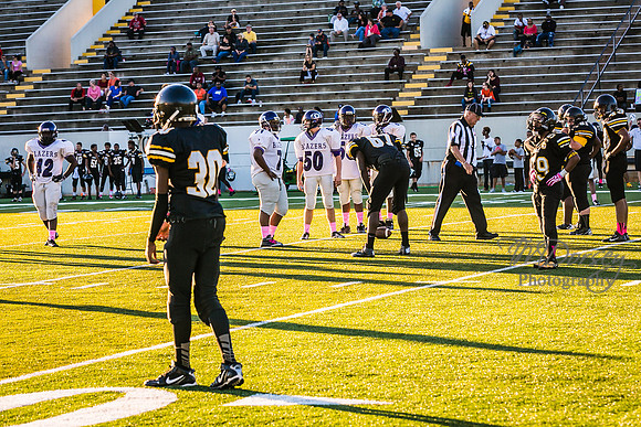 TMD_RVHS_wk6-8968