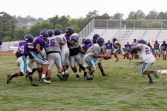 TMD_RVHS_2014-3642