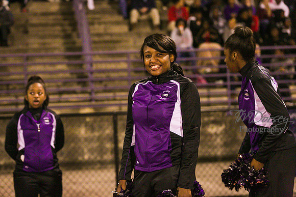 TMD_RVHS_wk8-3836