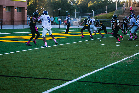 TMD_RVHS_wk6-8987
