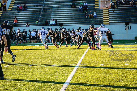 TMD_RVHS_wk6-8935
