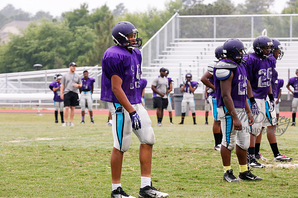 TMD_RVHS_2014-3664