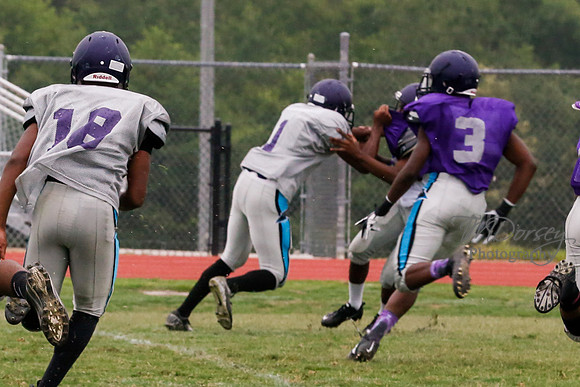 TMD_RVHS_2014-3724