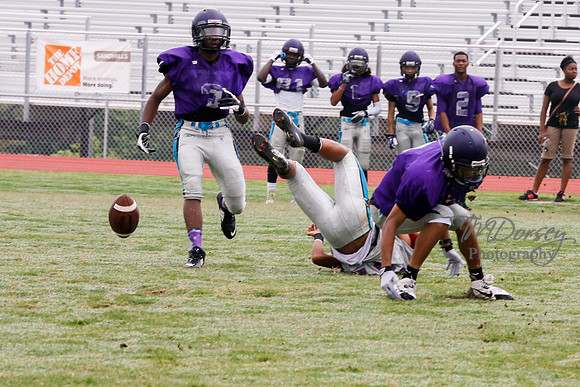 TMD_RVHS_2014-3627