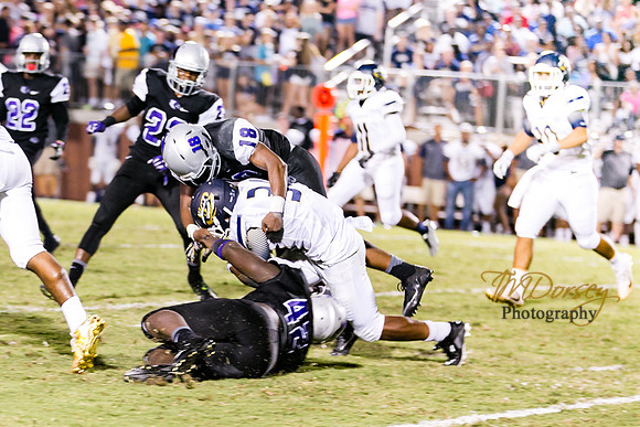 RVHS_2016-0660