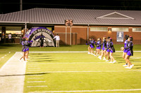 TMD_RVHS_wk7-2089